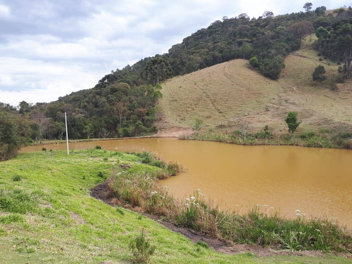 #529 - Sítio para Venda em Itapeva - MG