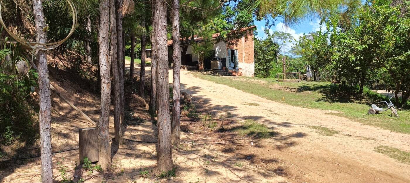 Sítio, 2 quartos, 1 hectares - Foto 3