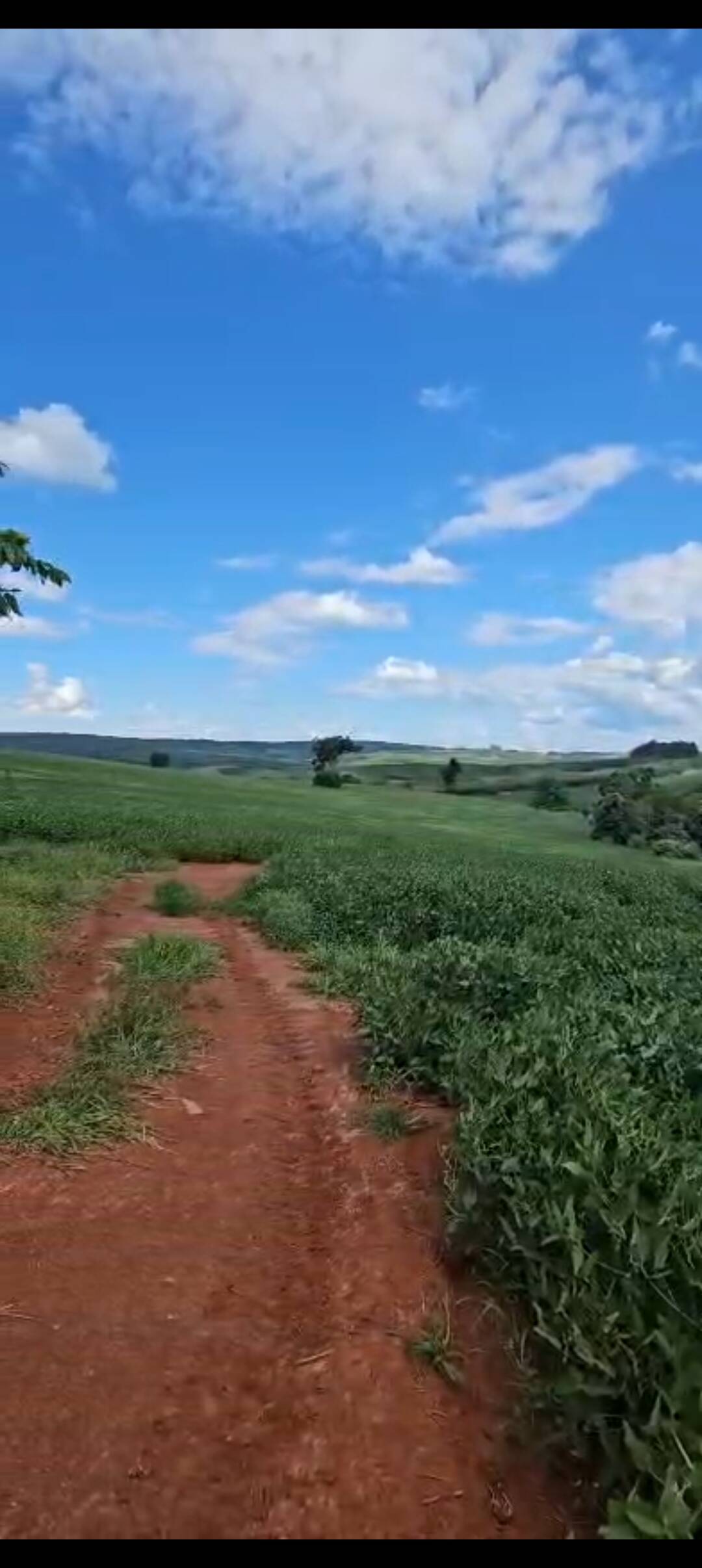 #1627 - Fazenda para Venda em Angatuba - SP