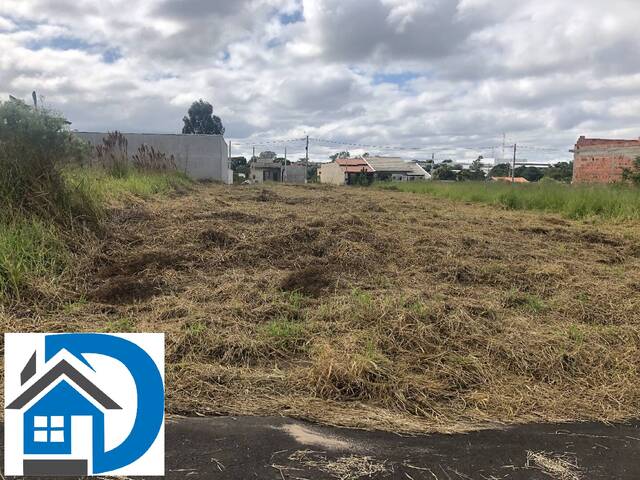 #87 - Terreno para Venda em Araçoiaba da Serra - SP - 2