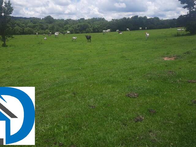 #891 - Sítio para Venda em Itapetininga - SP