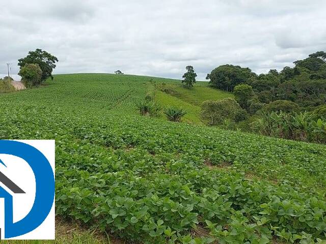 Venda em Rural - Itapetininga