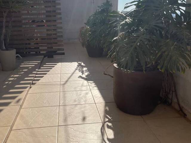 #1219 - Apartamento para Locação em Sorocaba - SP - 2