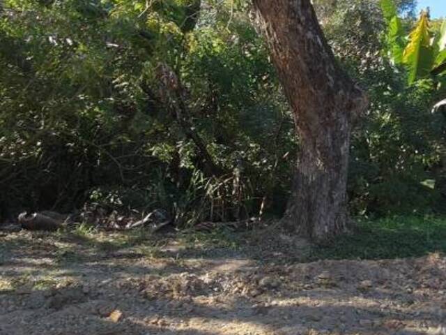 #1231 - Chácara para Venda em Araçoiaba da Serra - SP - 1