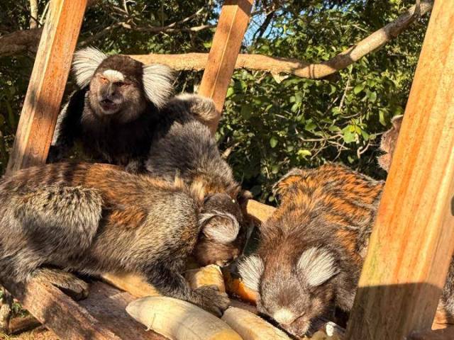 #1301 - Terreno em condomínio para Venda em Sorocaba - SP - 2
