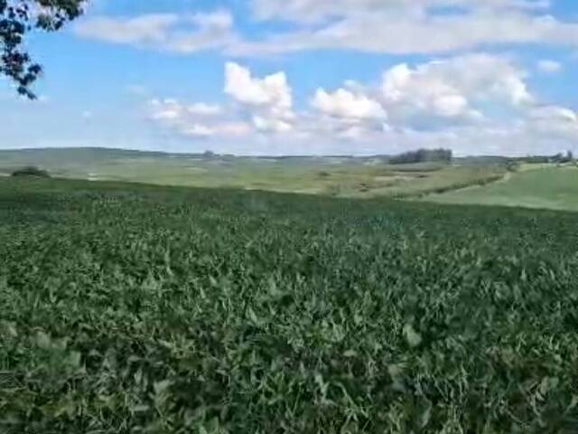 #1627 - Fazenda para Venda em Angatuba - SP - 3