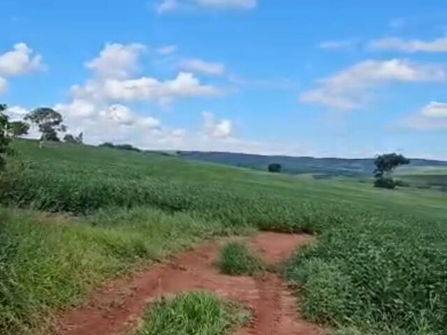 #1627 - Fazenda para Venda em Angatuba - SP - 2