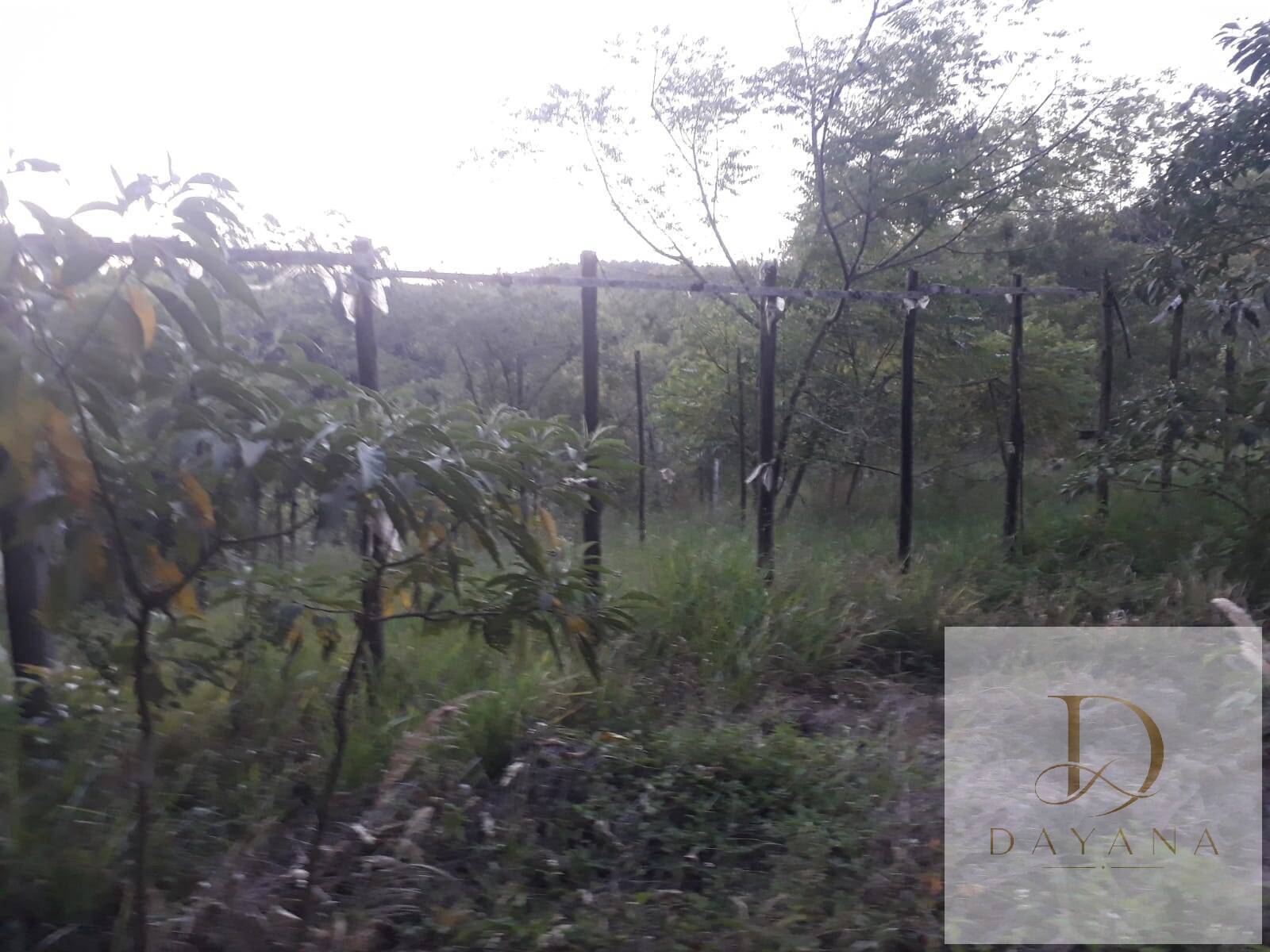 Terreno, 1 m² - Foto 3