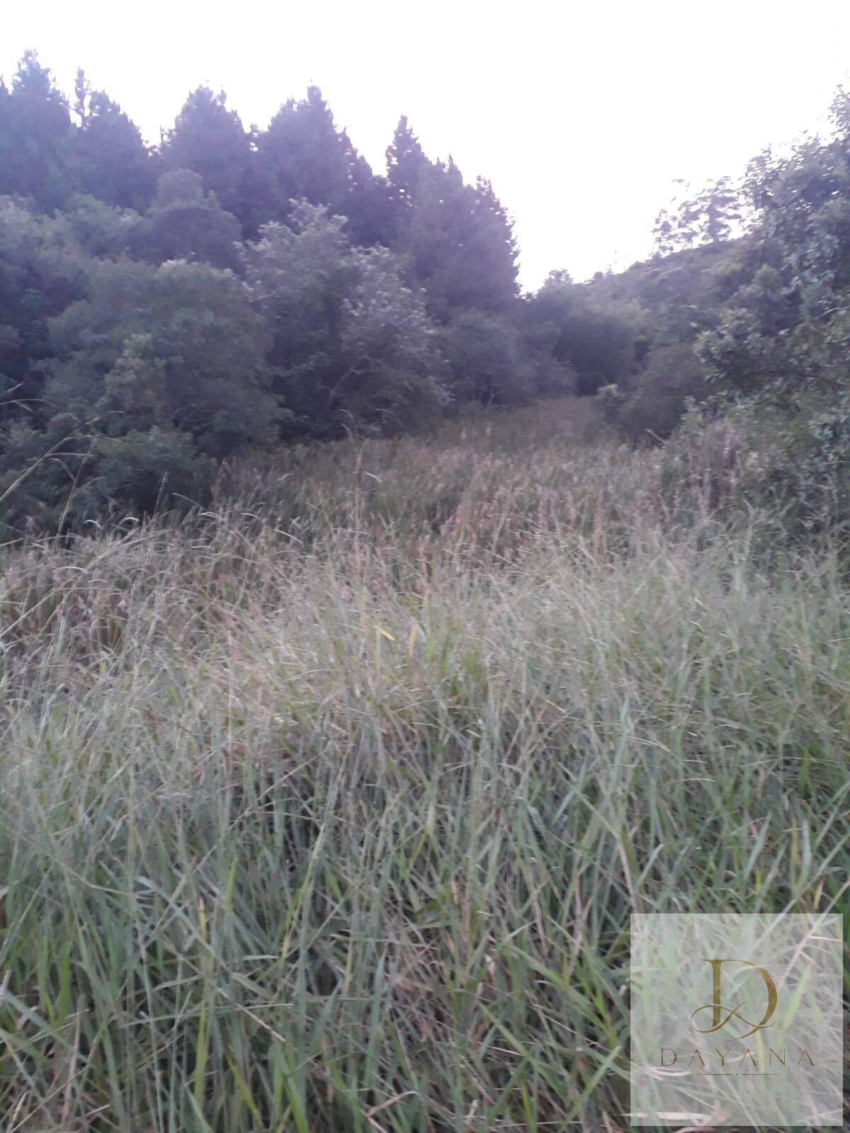 Terreno, 1 m² - Foto 4