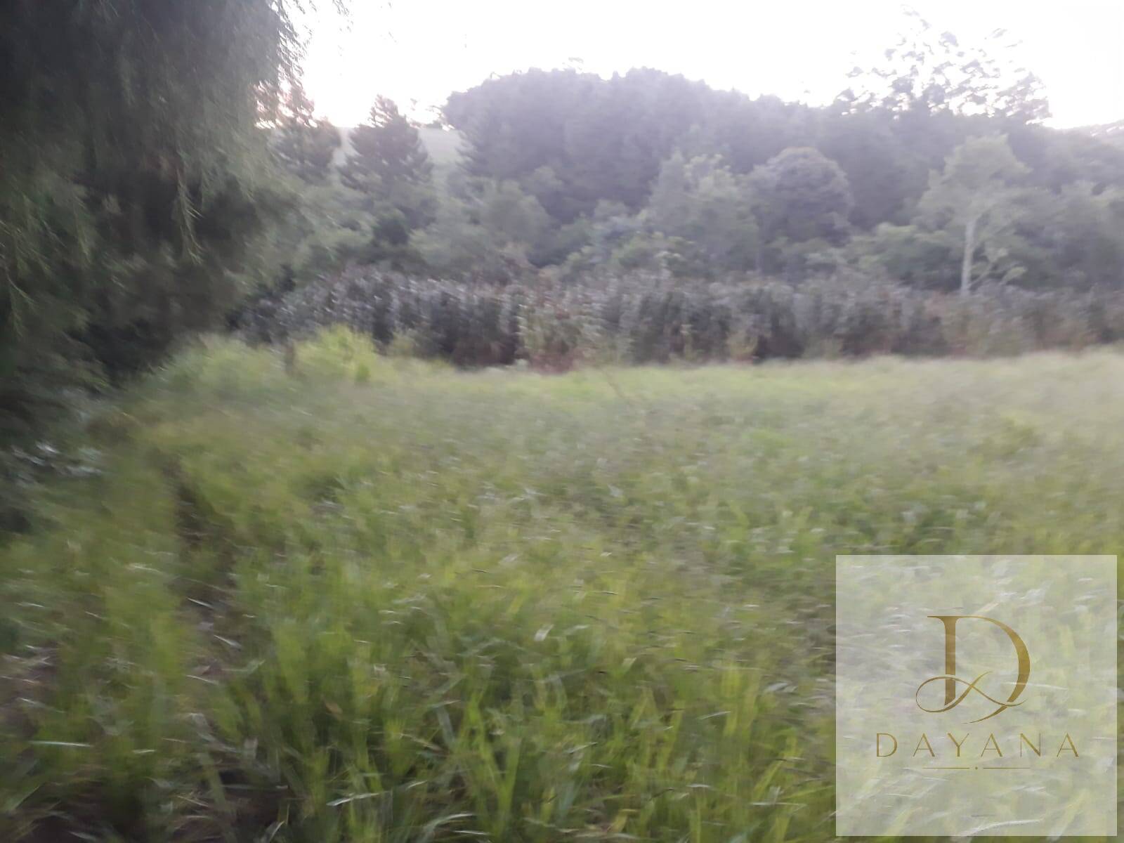 Terreno, 1 m² - Foto 5