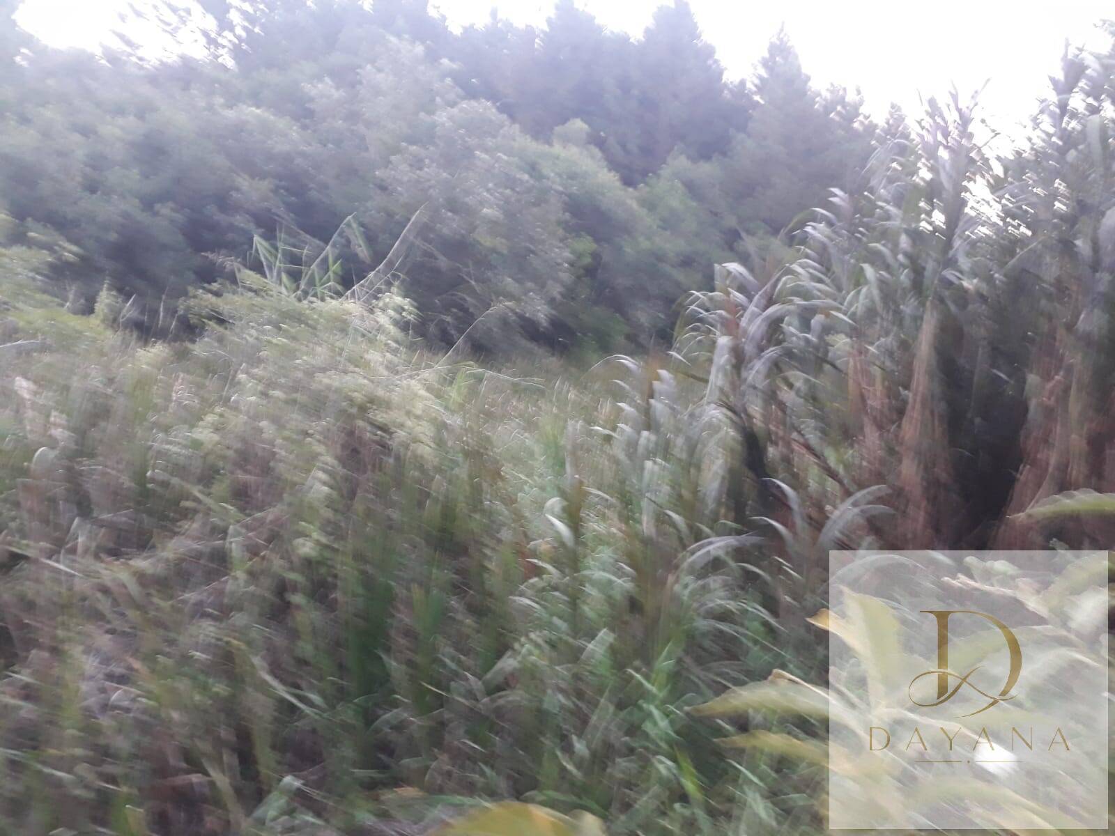 Terreno, 1 m² - Foto 16