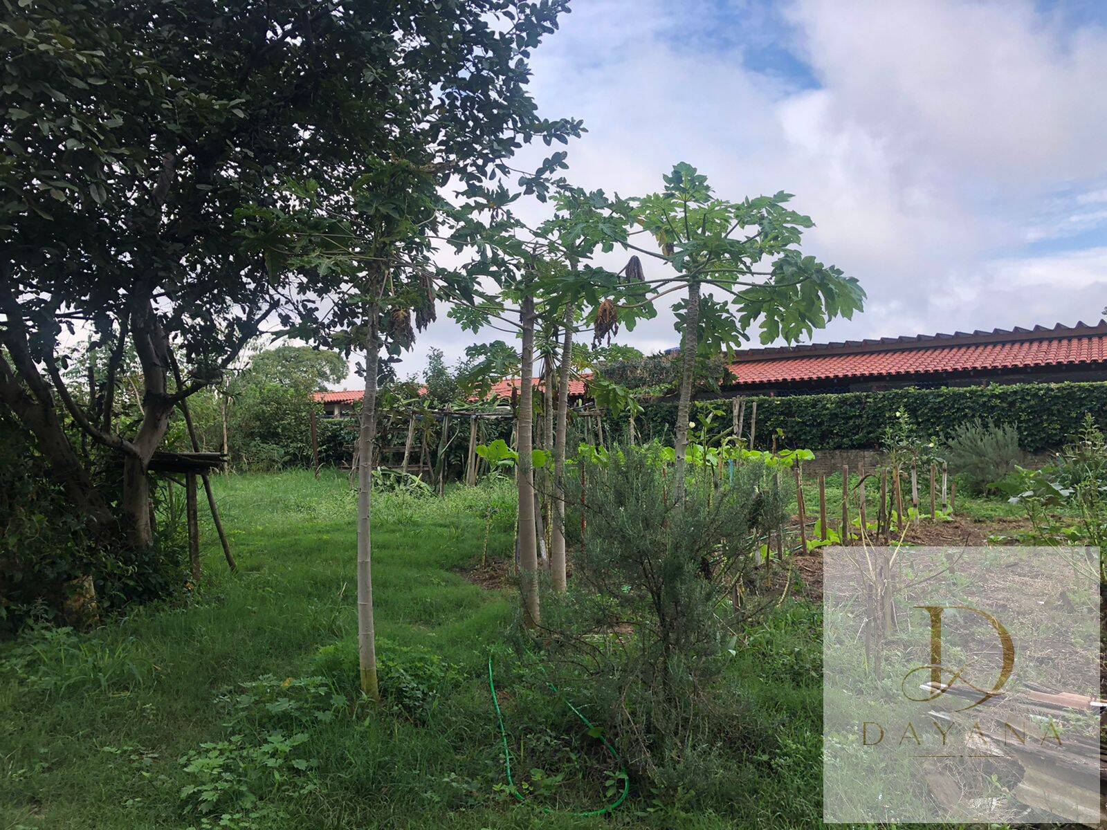 Terreno, 1500 m² - Foto 6