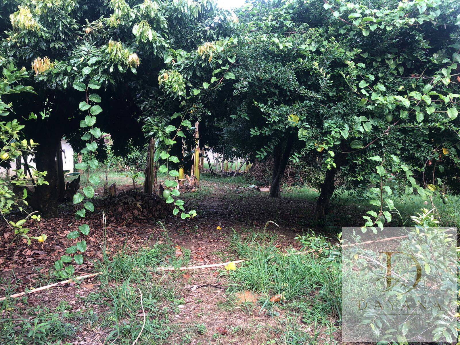 Terreno, 1500 m² - Foto 9