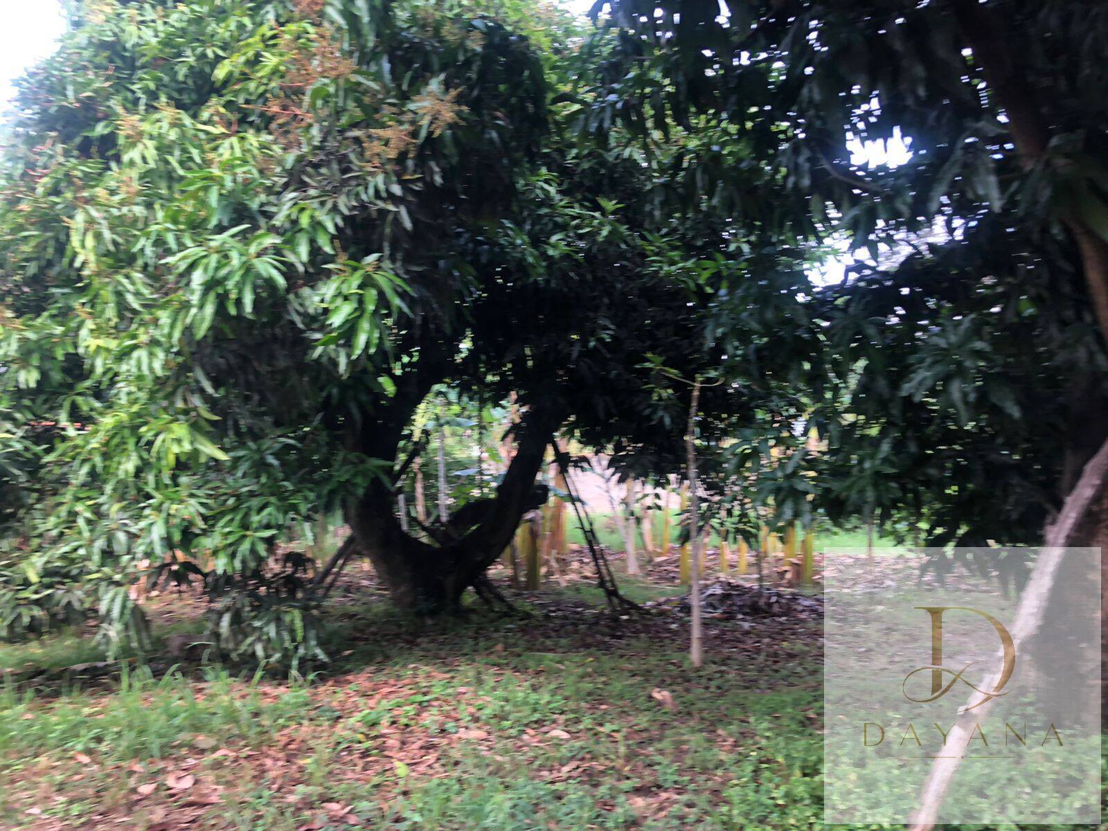 Terreno, 1500 m² - Foto 12