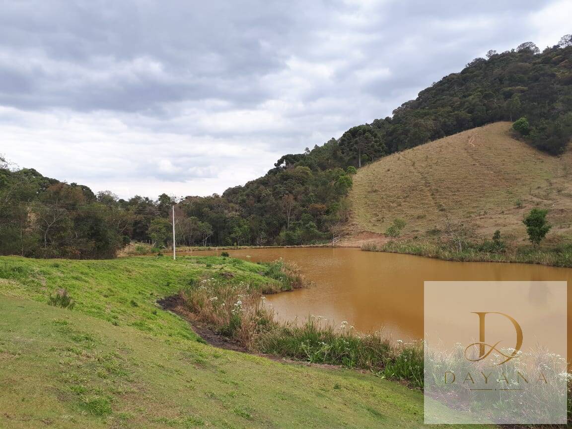Sítio, 4 quartos, 20 hectares - Foto 4