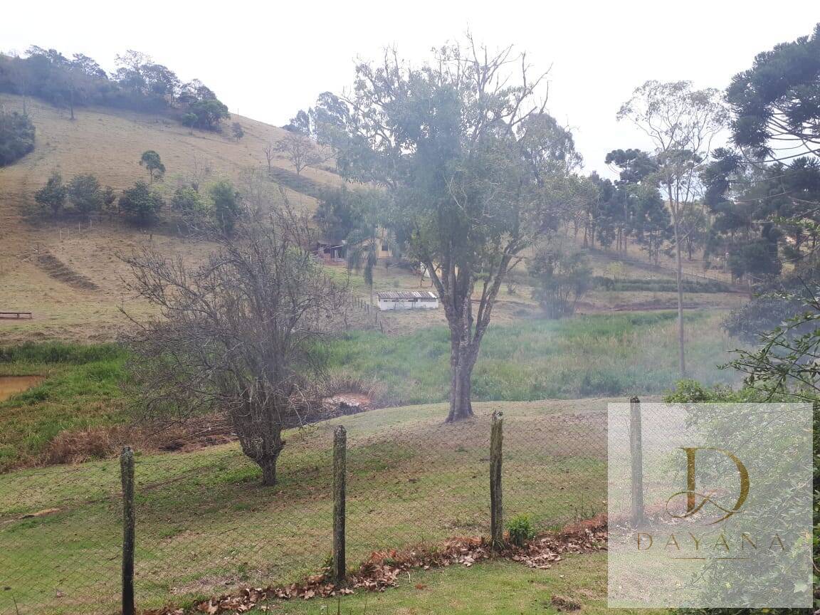 Sítio, 4 quartos, 20 hectares - Foto 3