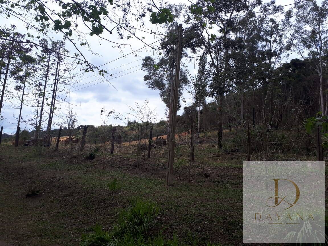 Sítio, 4 quartos, 20 hectares - Foto 7