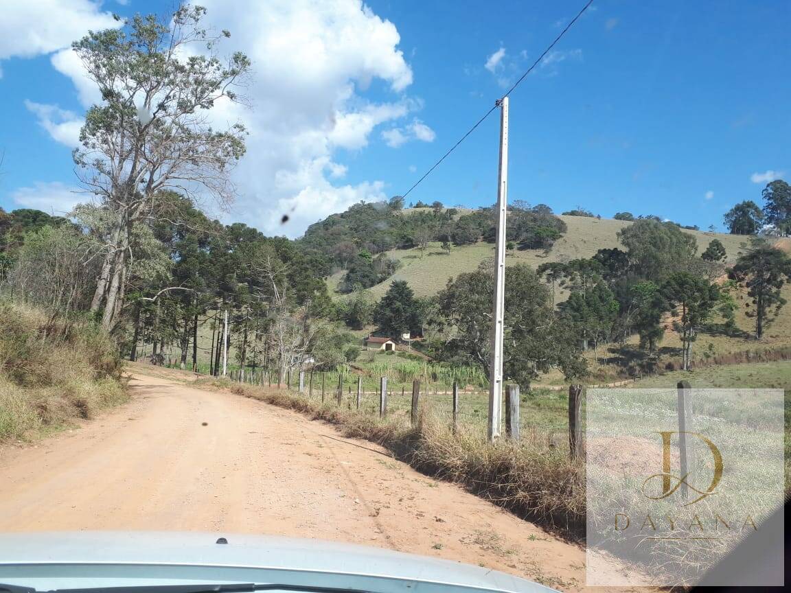 Sítio, 4 quartos, 20 hectares - Foto 8