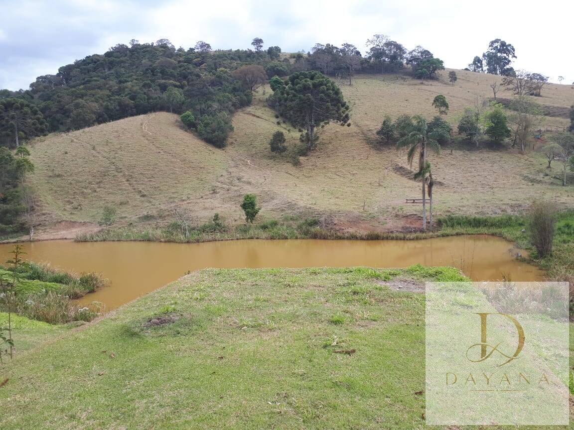 Sítio, 4 quartos, 20 hectares - Foto 11