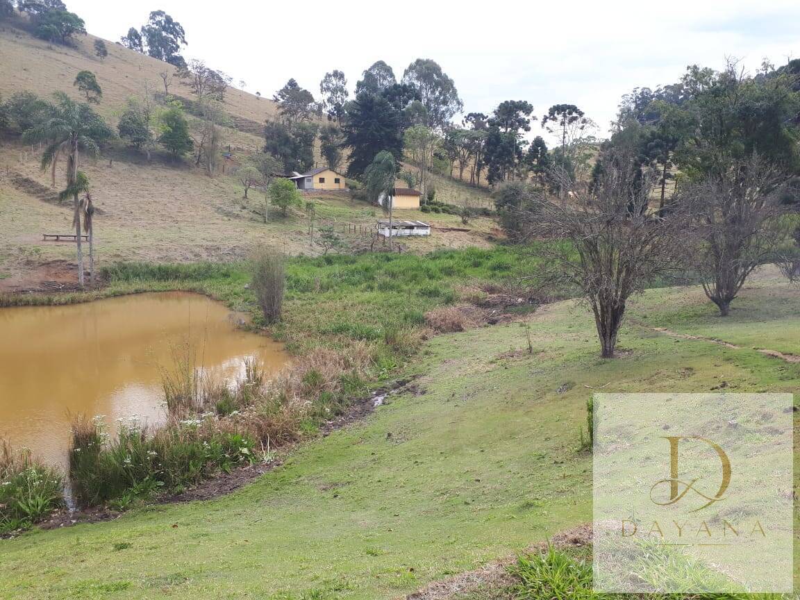 Sítio, 4 quartos, 20 hectares - Foto 12