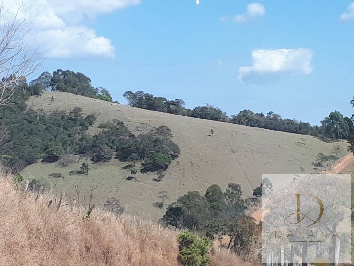 Sítio, 4 quartos, 20 hectares - Foto 16