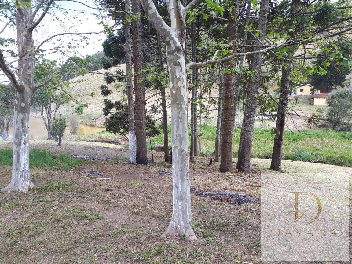 Sítio, 4 quartos, 20 hectares - Foto 19