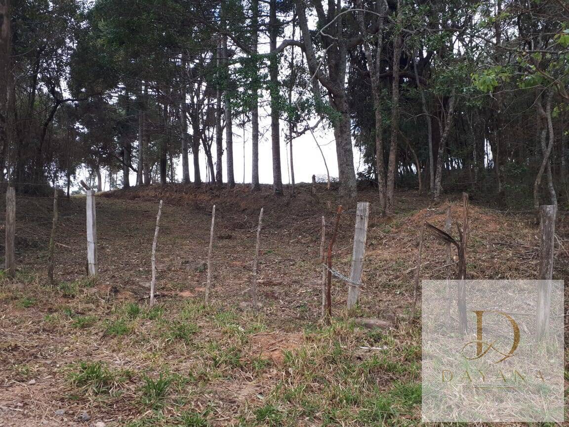 Sítio, 4 quartos, 20 hectares - Foto 21