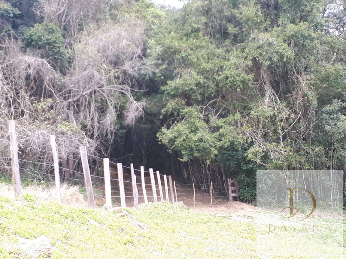 Sítio, 4 quartos, 20 hectares - Foto 22