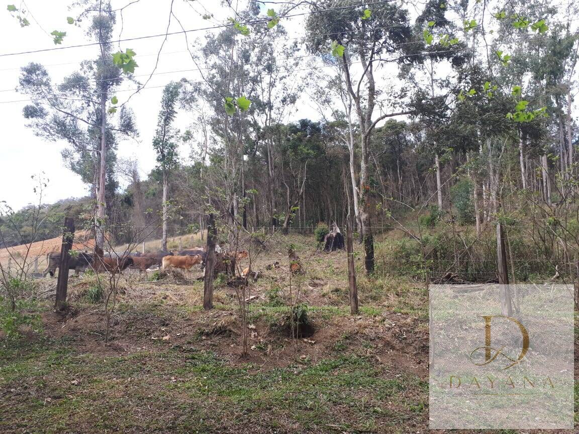 Sítio, 4 quartos, 20 hectares - Foto 24