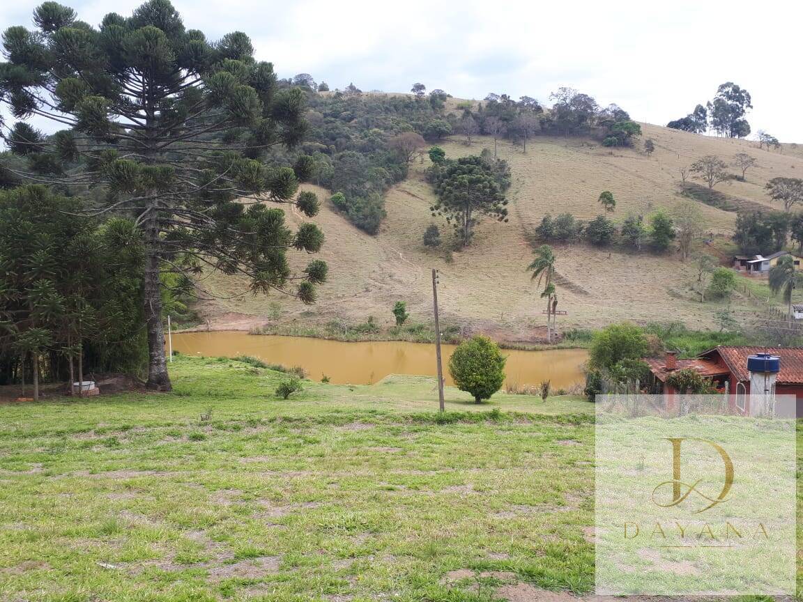 Sítio, 4 quartos, 20 hectares - Foto 23