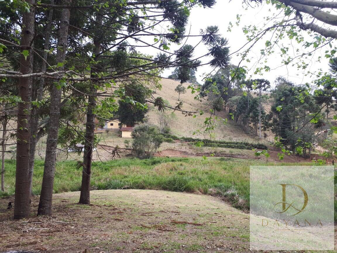 Sítio, 4 quartos, 20 hectares - Foto 26