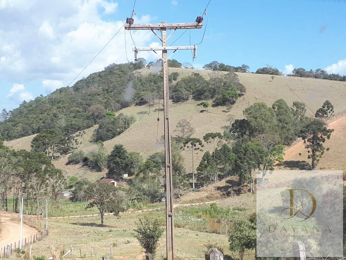 Sítio, 4 quartos, 20 hectares - Foto 32