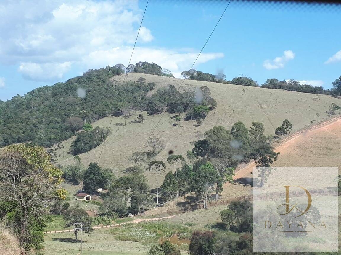 Sítio, 4 quartos, 20 hectares - Foto 30