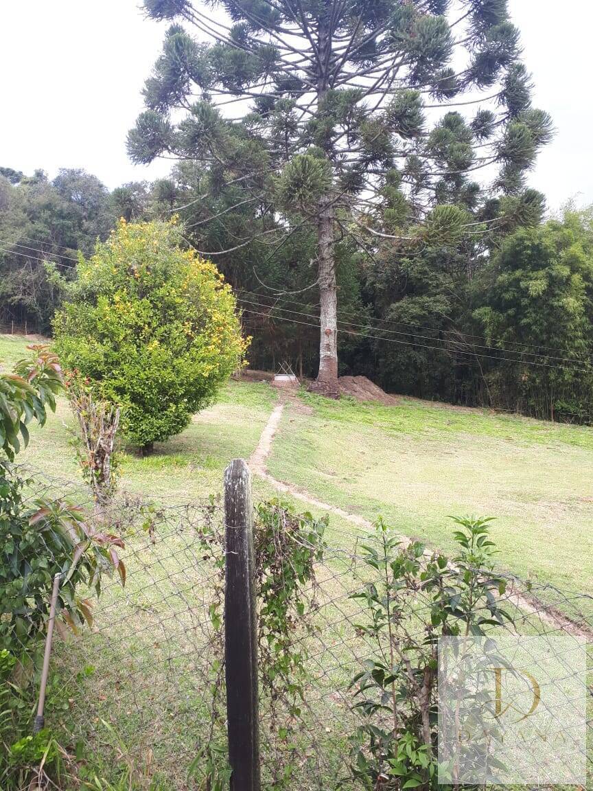 Sítio, 4 quartos, 20 hectares - Foto 34