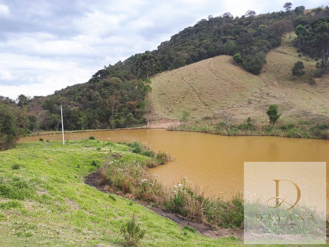 Sítio, 4 quartos, 20 hectares - Foto 1