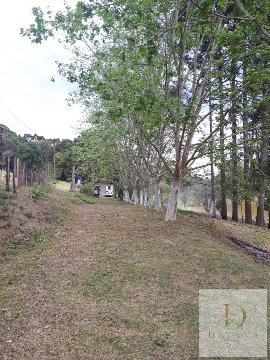 Sítio, 4 quartos, 20 hectares - Foto 39