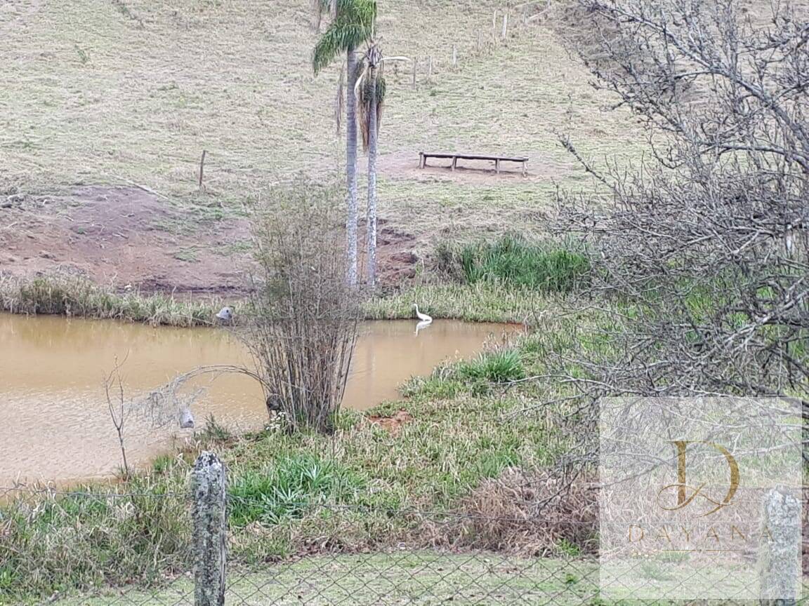 Sítio, 4 quartos, 20 hectares - Foto 40