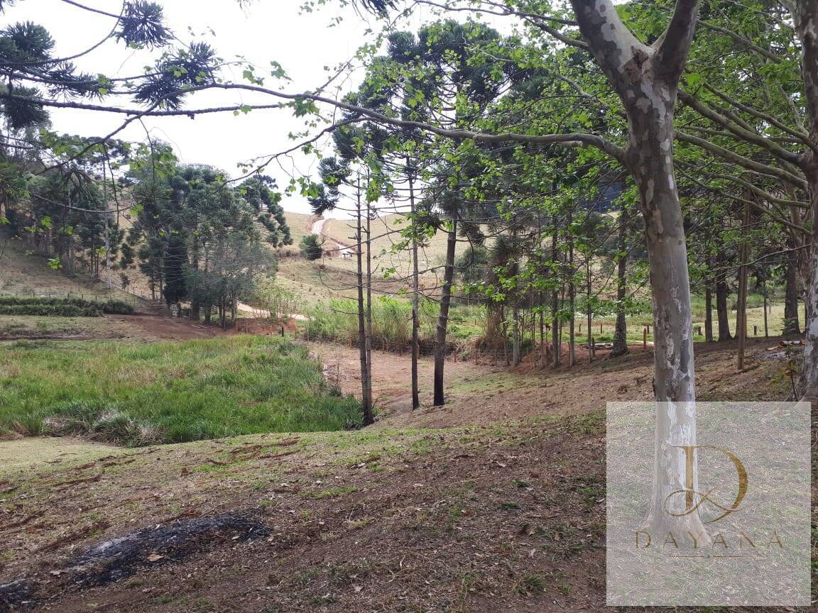 Sítio, 4 quartos, 20 hectares - Foto 42