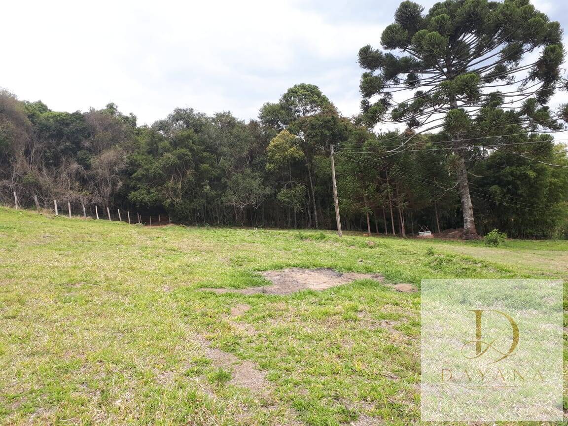 Sítio, 4 quartos, 20 hectares - Foto 41