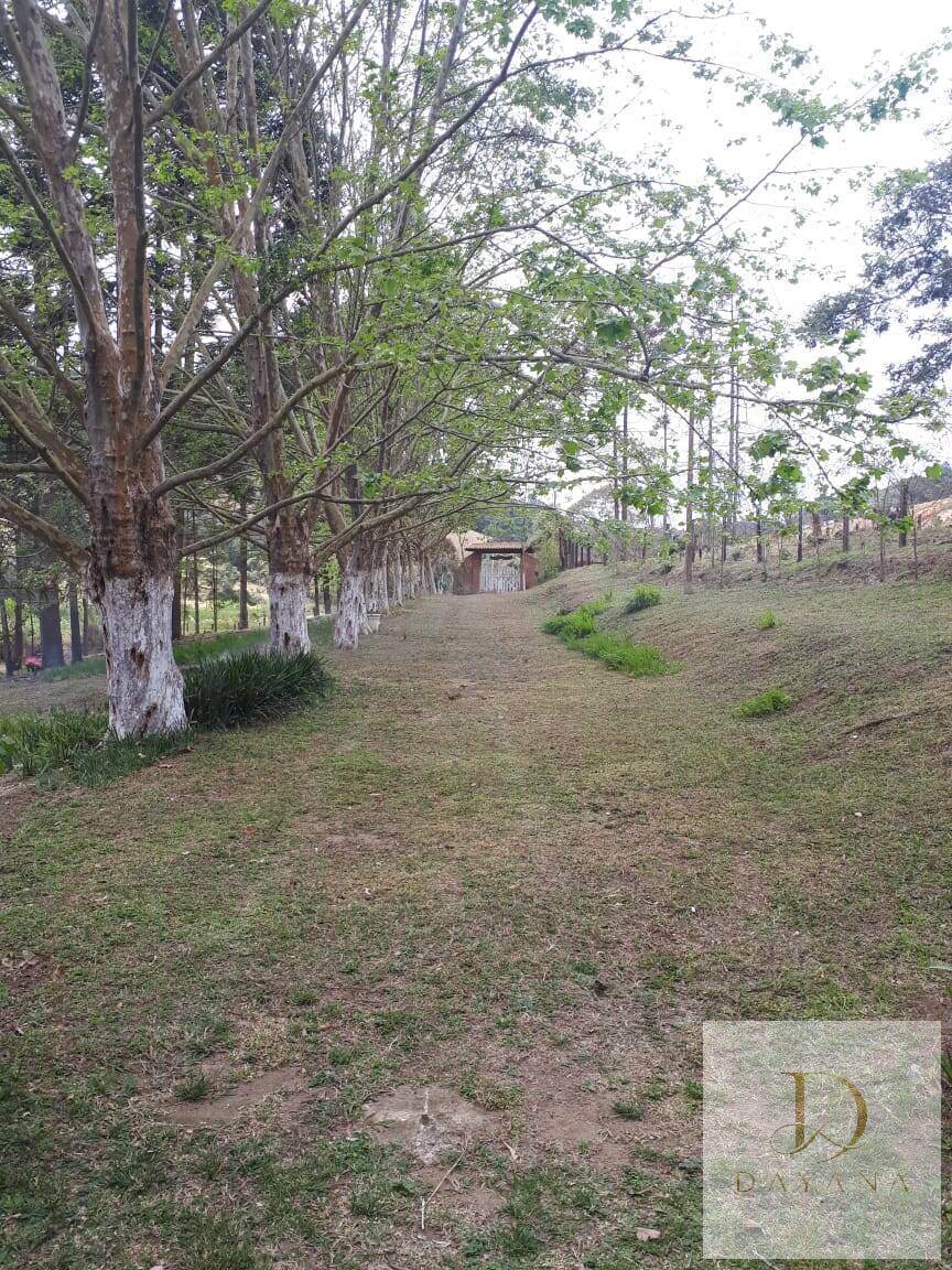 Sítio, 4 quartos, 20 hectares - Foto 45