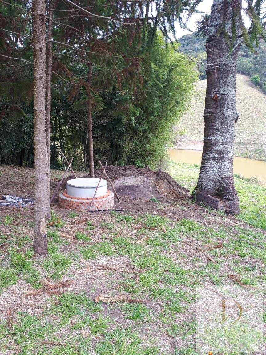 Sítio, 4 quartos, 20 hectares - Foto 48