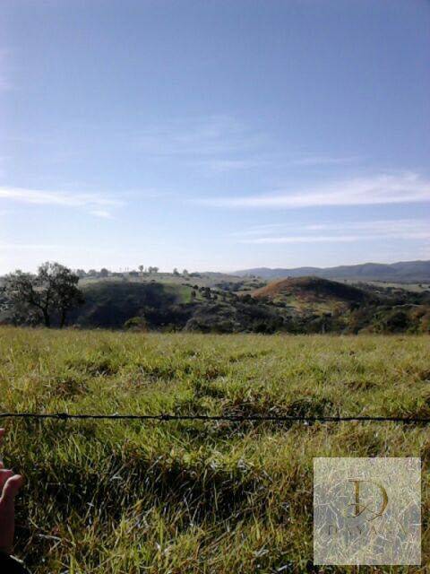 Terreno, 18 hectares - Foto 1