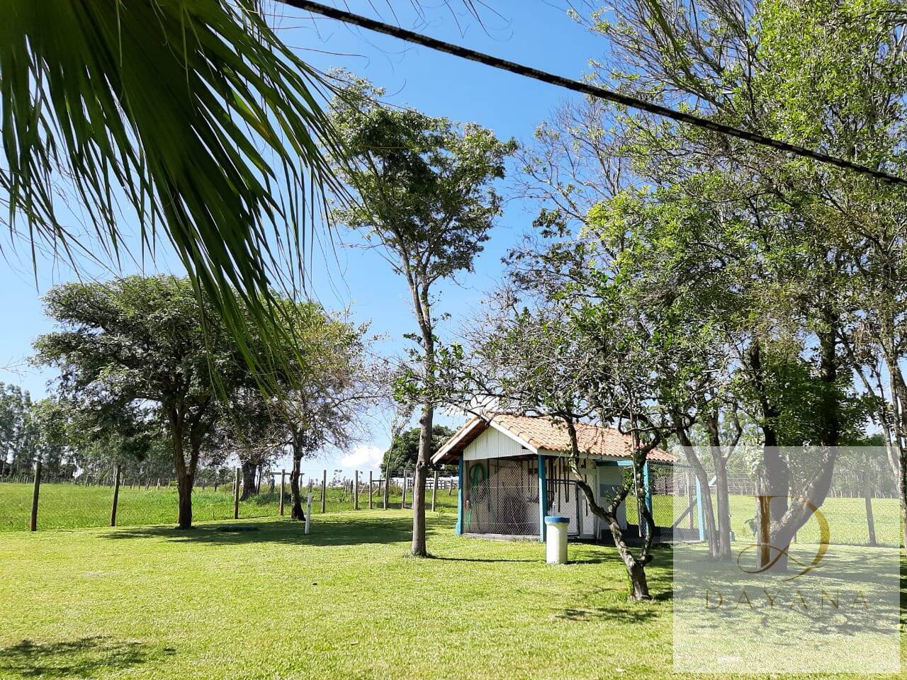Sítio, 3 quartos, 103 hectares - Foto 3