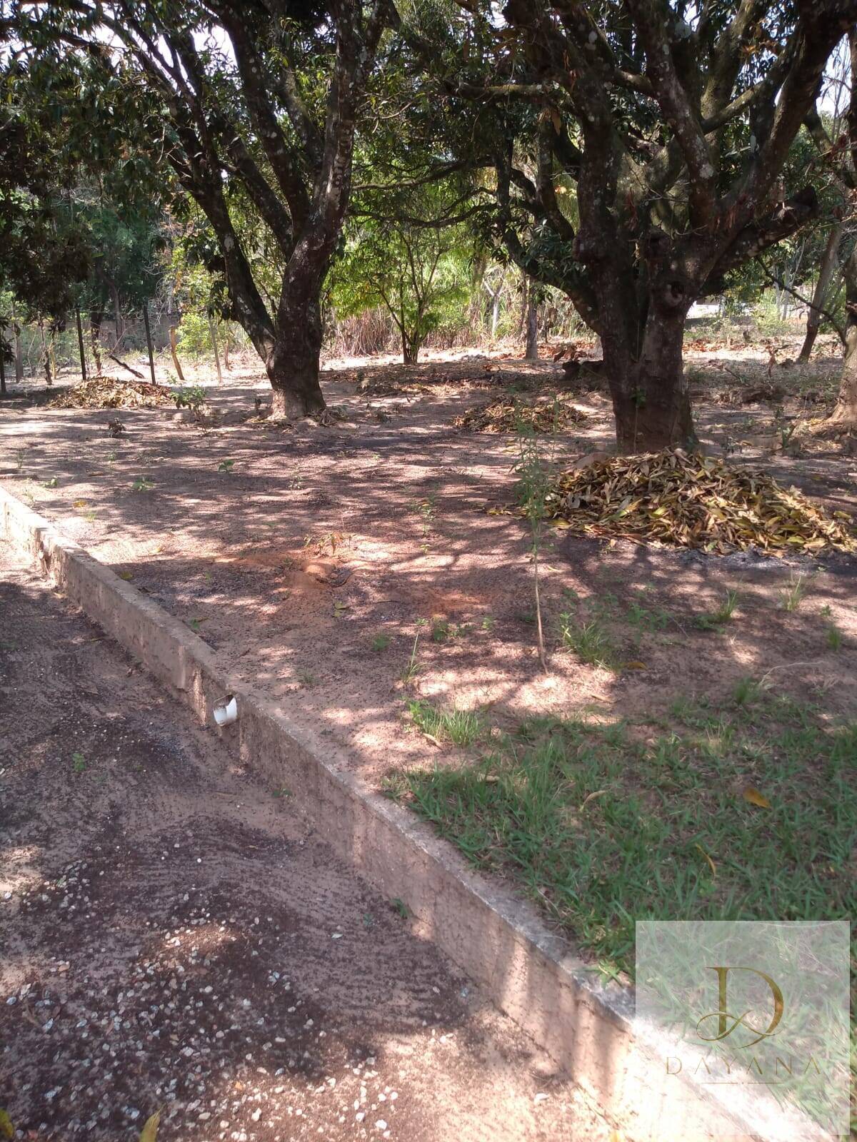 Sítio, 7 quartos, 1 hectares - Foto 22