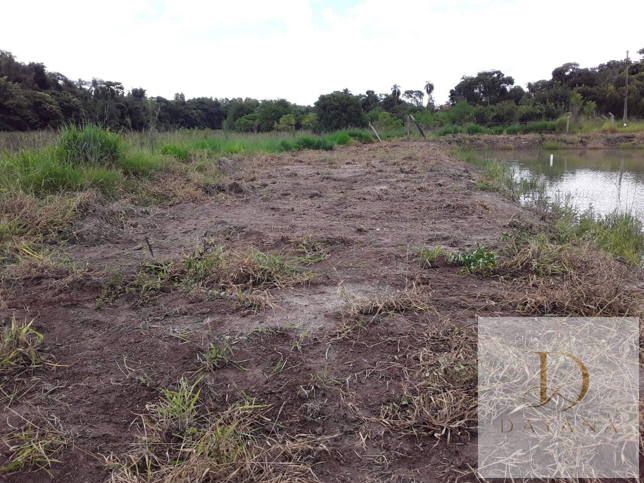 Terreno, 2 hectares - Foto 2