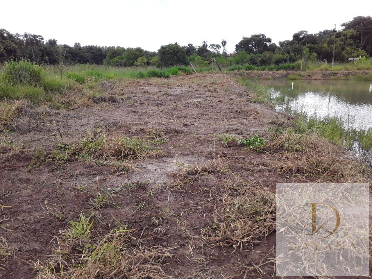 Terreno, 2 hectares - Foto 3