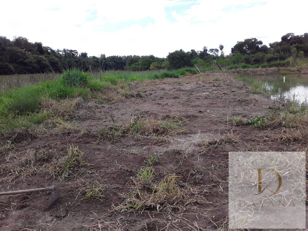 Terreno, 2 hectares - Foto 4