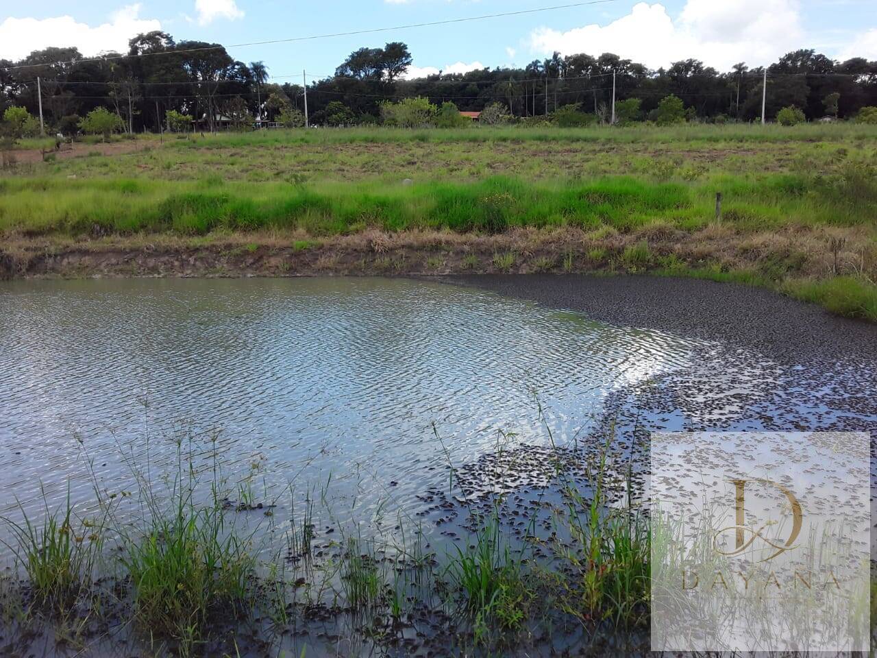 Terreno, 2 hectares - Foto 1