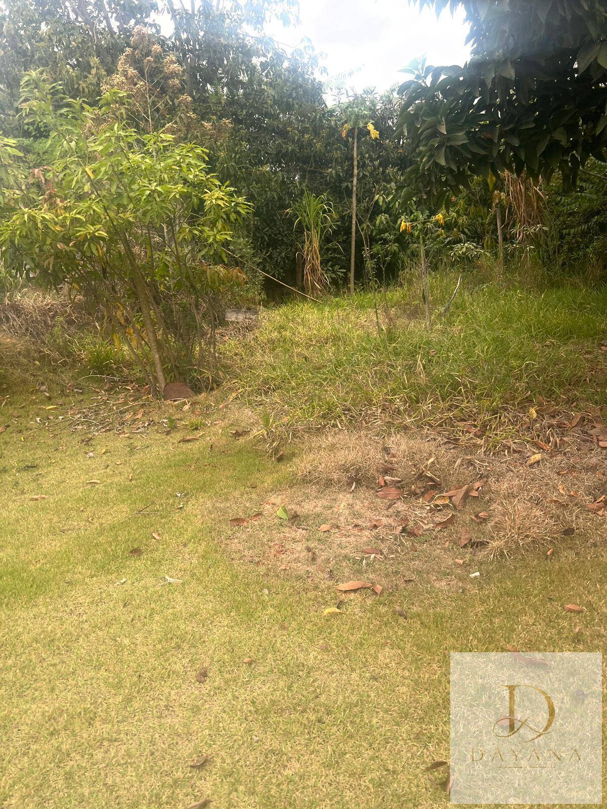 Terreno, 1000 m² - Foto 3