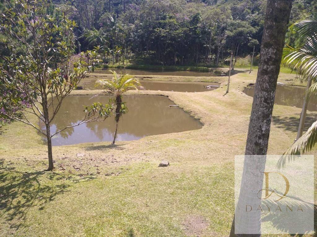 Sítio, 4 quartos, 3 hectares - Foto 4
